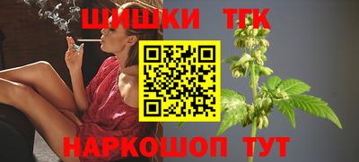 гидра Можга