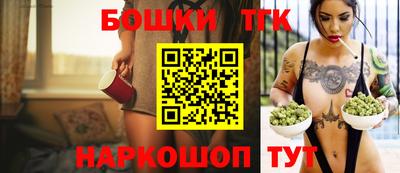 гидра Можга