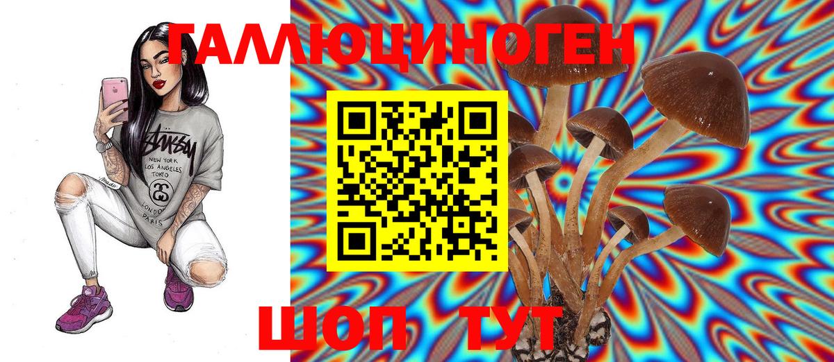 МЕФ кристаллы  Канабис  Cocaine  Вход с VPN  Приморско-Ахтарск  Гашиш  Гашиш 