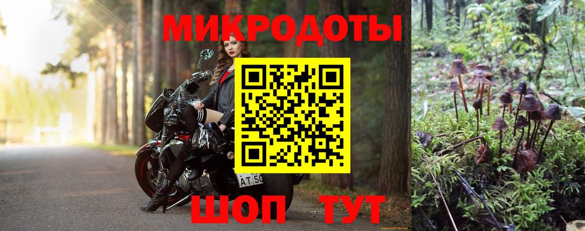 Галлюциногенные грибы прущие грибы Приморско-Ахтарск